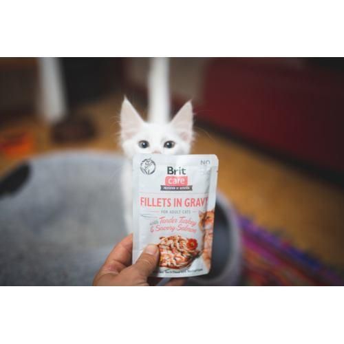Влажный корм Brit Care Cat Pouch для кошек, филе в соусе, нежная индейка и пикантный лосось, 85 г 100528/0501 фото