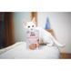 Влажный корм Brit Care Cat Pouch для кошек, филе в соусе, нежная индейка и пикантный лосось, 85 г 100528/0501 фото 4