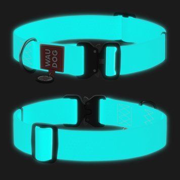 Ошейник для собак водостойкий WAUDOG Waterproof з QR-паспортом, світиться в темряві , металева пряжка-фастекс, XXL, Ш 40 мм, Д 2781 фото