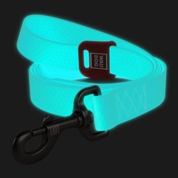 Повідець для собак водостійкий WAUDOG Waterproof, світиться в темряві, L-XXL, Ш 25мм, Д 305 см 2733 фото