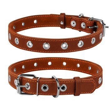 Нашийник "CoLLaR" безрозмірний (ширина 25мм, довжина 60см) коричневий 2446 фото