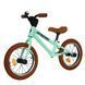 Біговел TILLY 14" Dynamic T-212519 Green для дітей 2,5&ndash;7 років