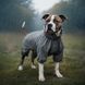 Дождевик для собак WAUDOG Clothes, водонепроницаемый, S32, В 47-50 см, С 35-38 см, серый 198411 фото 4