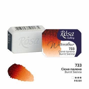 Краска акварельная Сиена жженая (733) 2,5мл ROSA Gallery 4823098506140 фото