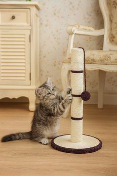 Когтеточка-столбик Trixie для котов с игрушкой сизаль 31х50 см 4309 фото