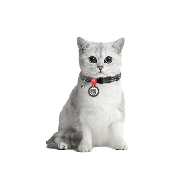 Нашийник для котів з відновленої бавовни WAUDOG Re-cotton з QR паспортом, світловідбиваючий, пластиковий фастекс, XS, Ш 10 мм, Дов 164211 фото