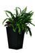 Горщик для рослин Keter Rattan Planter M (medium) 55,4 л 7290103659271 фото 1
