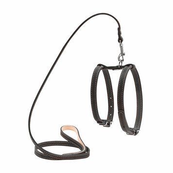 Шлея "CoLLaR" з повідцем для малих собак (ширина 14мм, дов. 122см) чорний 5471 фото