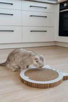 Когтеточка Trixie для котят картонная в форме хомяка с кошачьей мятой 31х2,5х32,5 см светло-серая 48041 фото