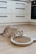 Когтеточка Trixie для котят картонная в форме хомяка с кошачьей мятой 31х2,5х32,5 см светло-серая 48041 фото 1