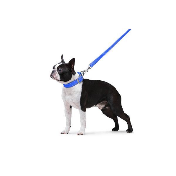 Поводок "Dog Extreme" из нейлона двойной (ширина 20мм, длина 122см), голубой 42982 фото