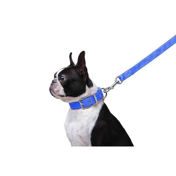 Поводок "Dog Extreme" из нейлона двойной (ширина 20мм, длина 122см), голубой 42982 фото