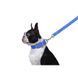 Поводок "Dog Extreme" из нейлона двойной (ширина 20мм, длина 122см), голубой 42982 фото 4